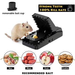 .Mouse Trap (1pis)